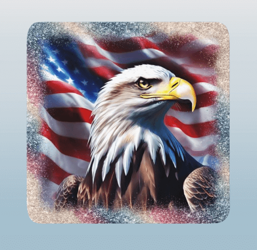 American Eagle Coasters Set / 4