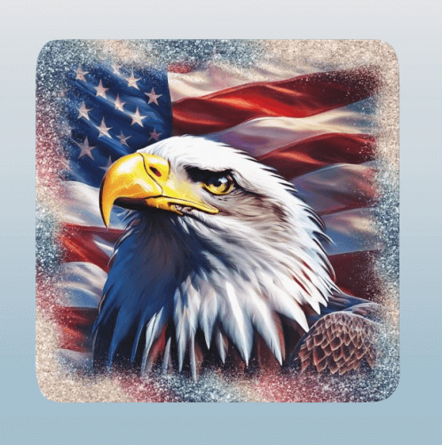 American Eagle Coasters Set / 4