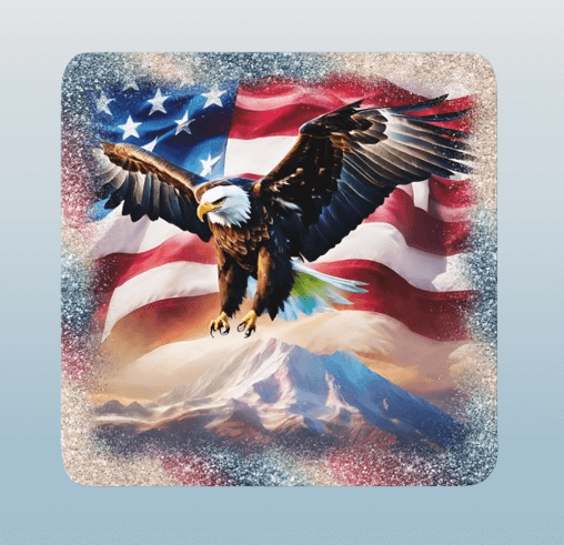 American Eagle Coasters Set / 4