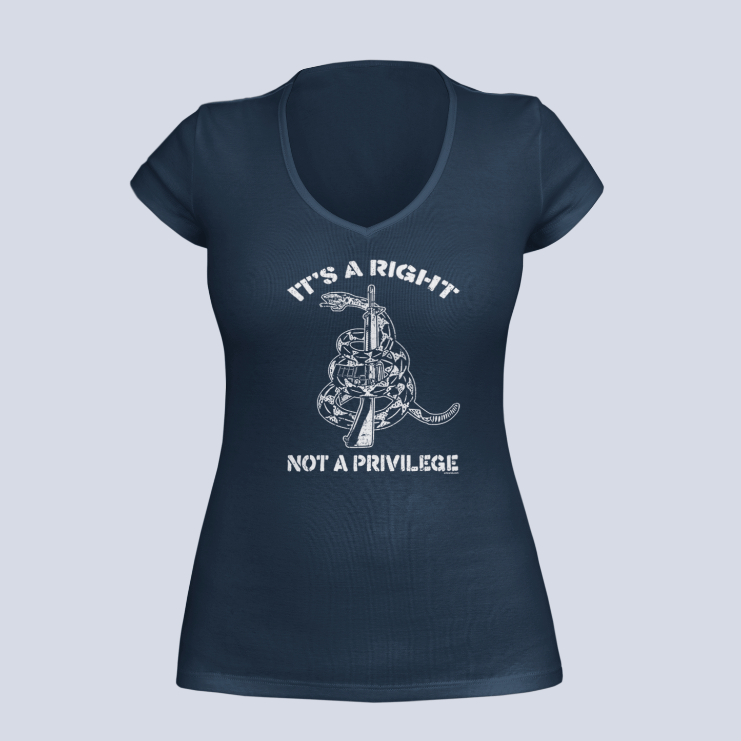 It's a Right, Not a Privilege - T-Shirt - Ladies V-Neck