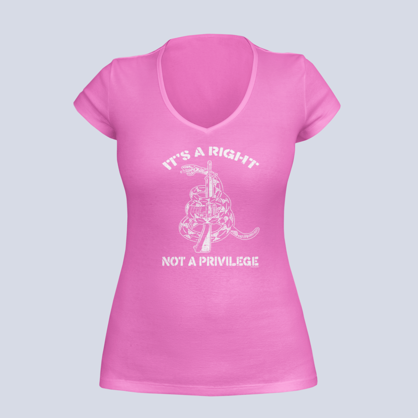 It's a Right, Not a Privilege - T-Shirt - Ladies V-Neck