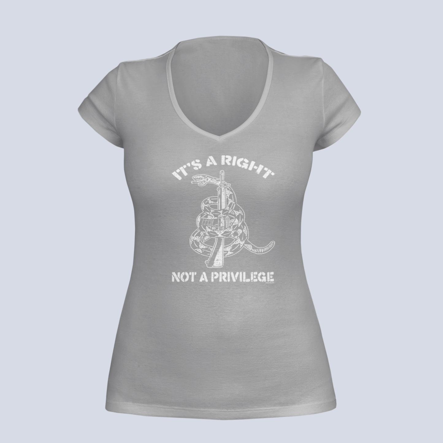 It's a Right, Not a Privilege - T-Shirt - Ladies V-Neck