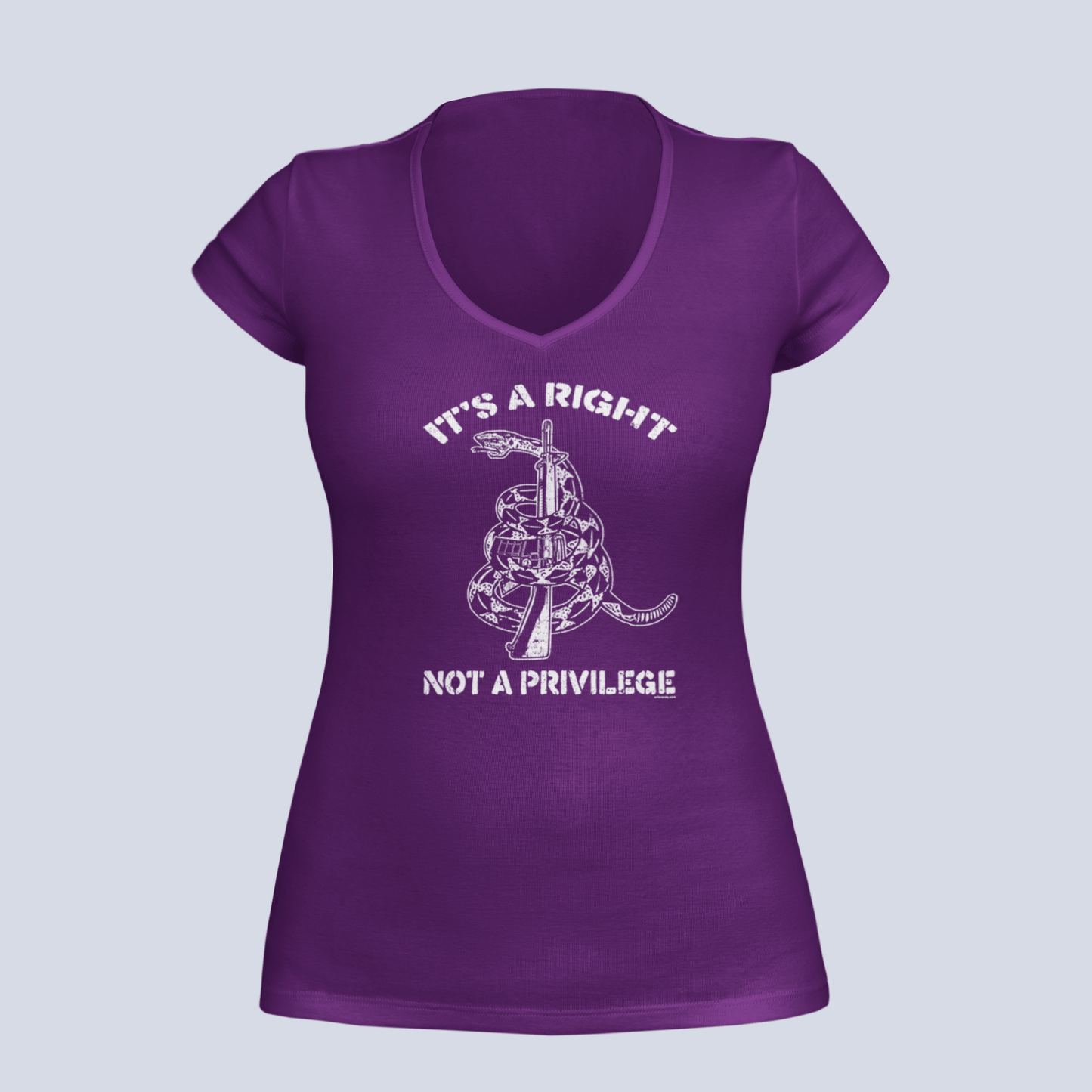 It's a Right, Not a Privilege - T-Shirt - Ladies V-Neck