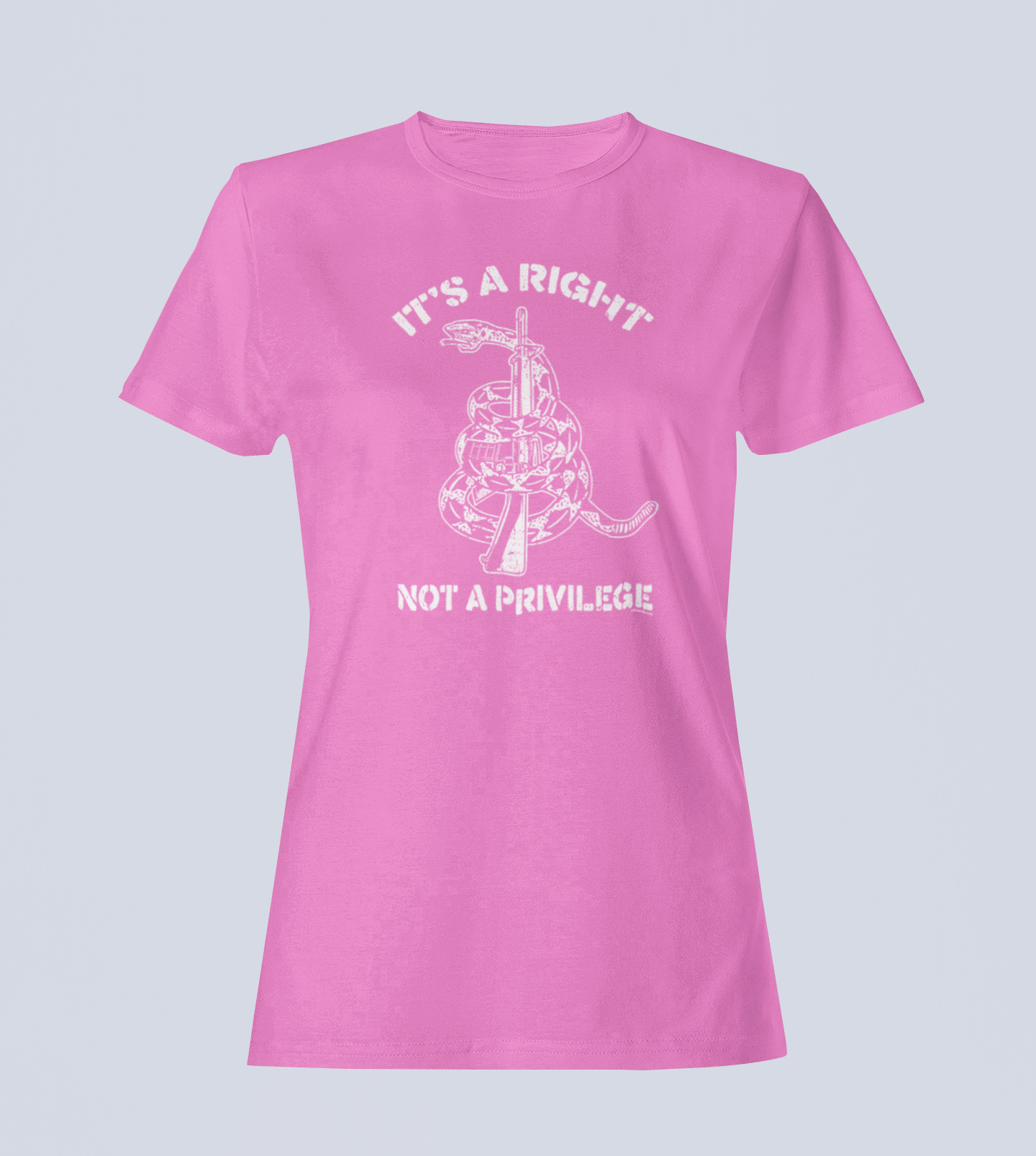 It's a Right, Not a Privilege - T-Shirt - Ladies