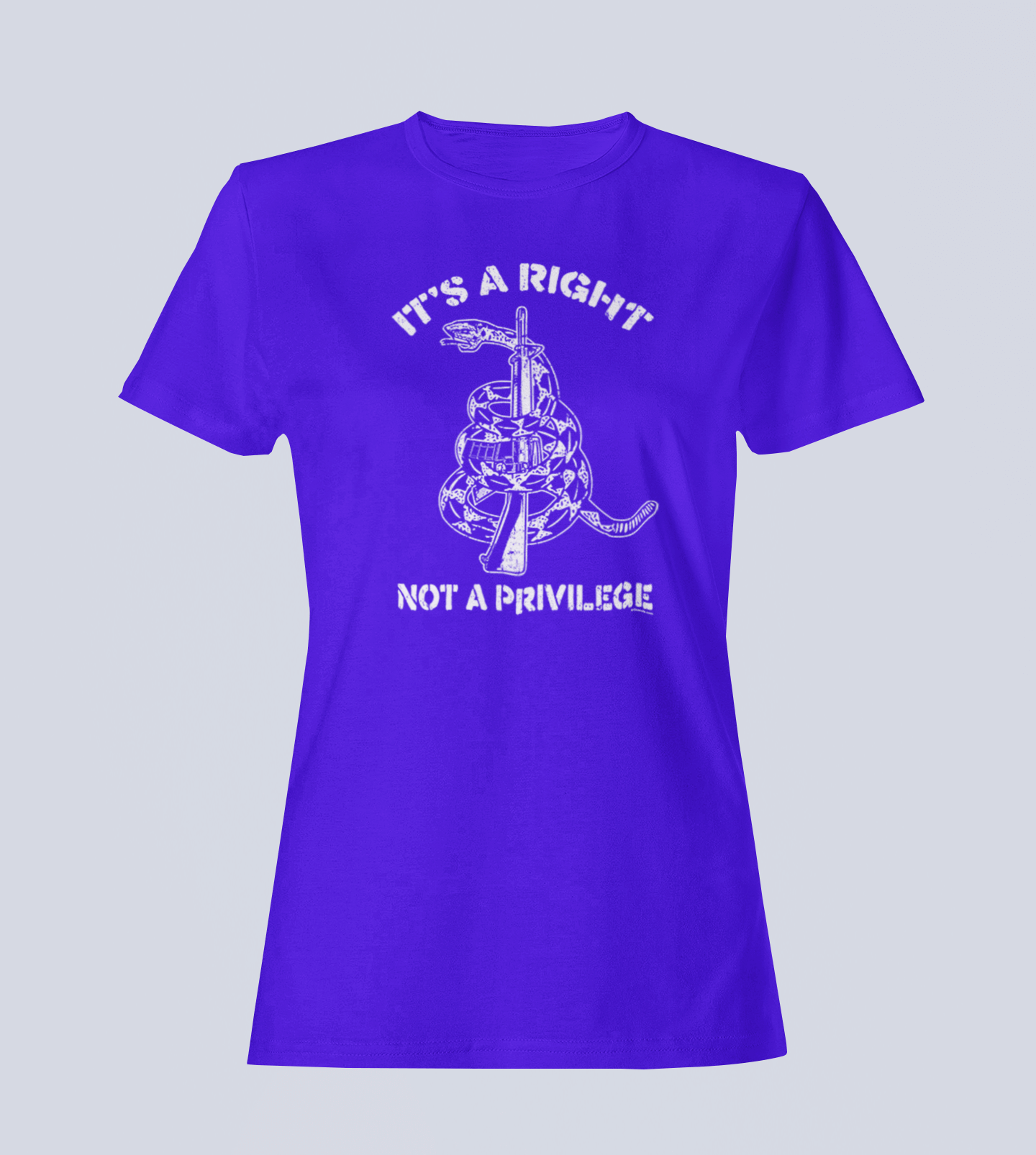 It's a Right, Not a Privilege - T-Shirt - Ladies