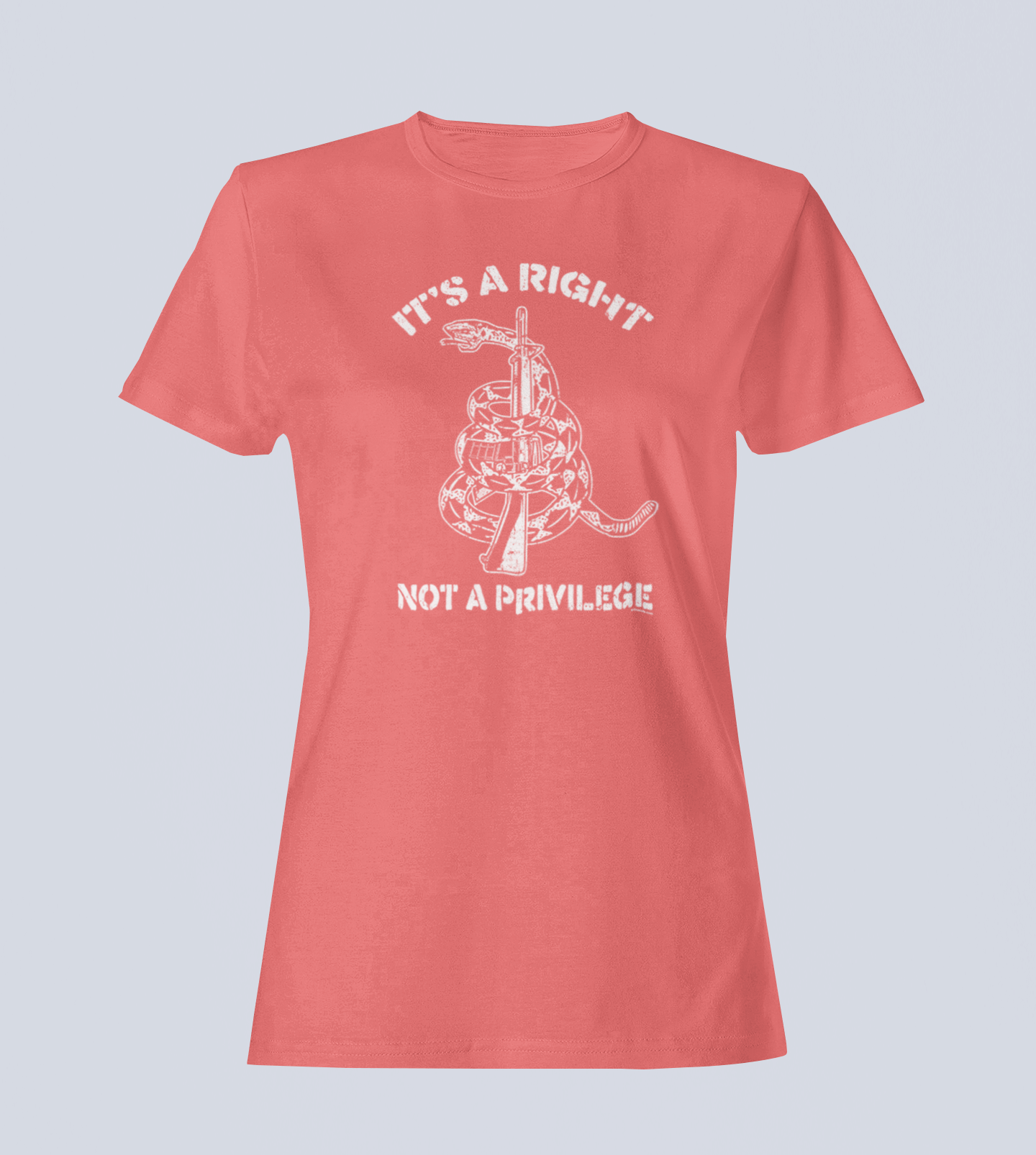 It's a Right, Not a Privilege - T-Shirt - Ladies