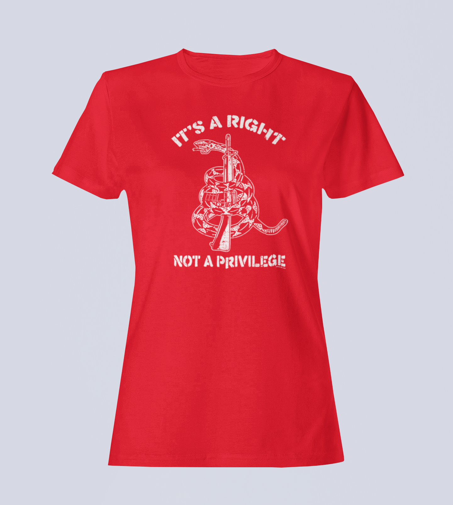 It's a Right, Not a Privilege - T-Shirt - Ladies