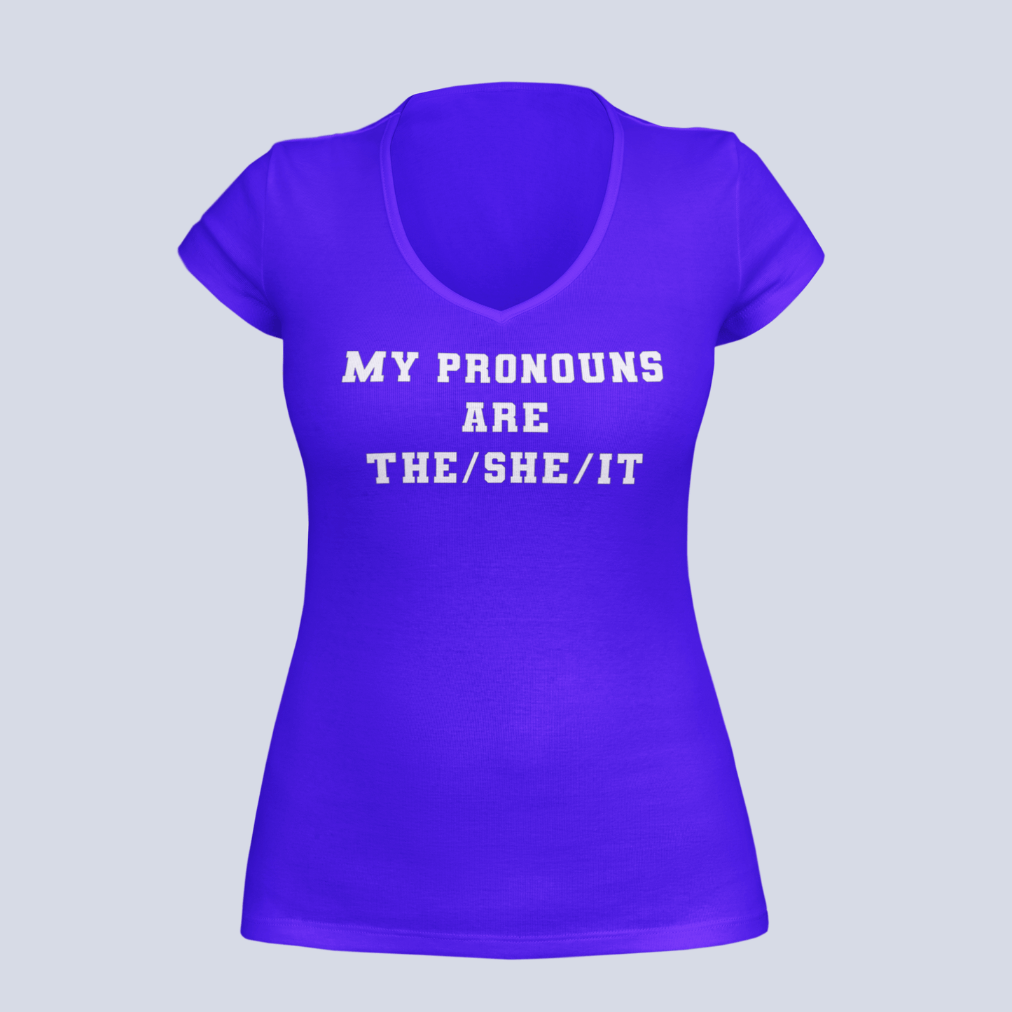 My Pronouns are The/She /IT - Ladies V-Neck T-Shirt